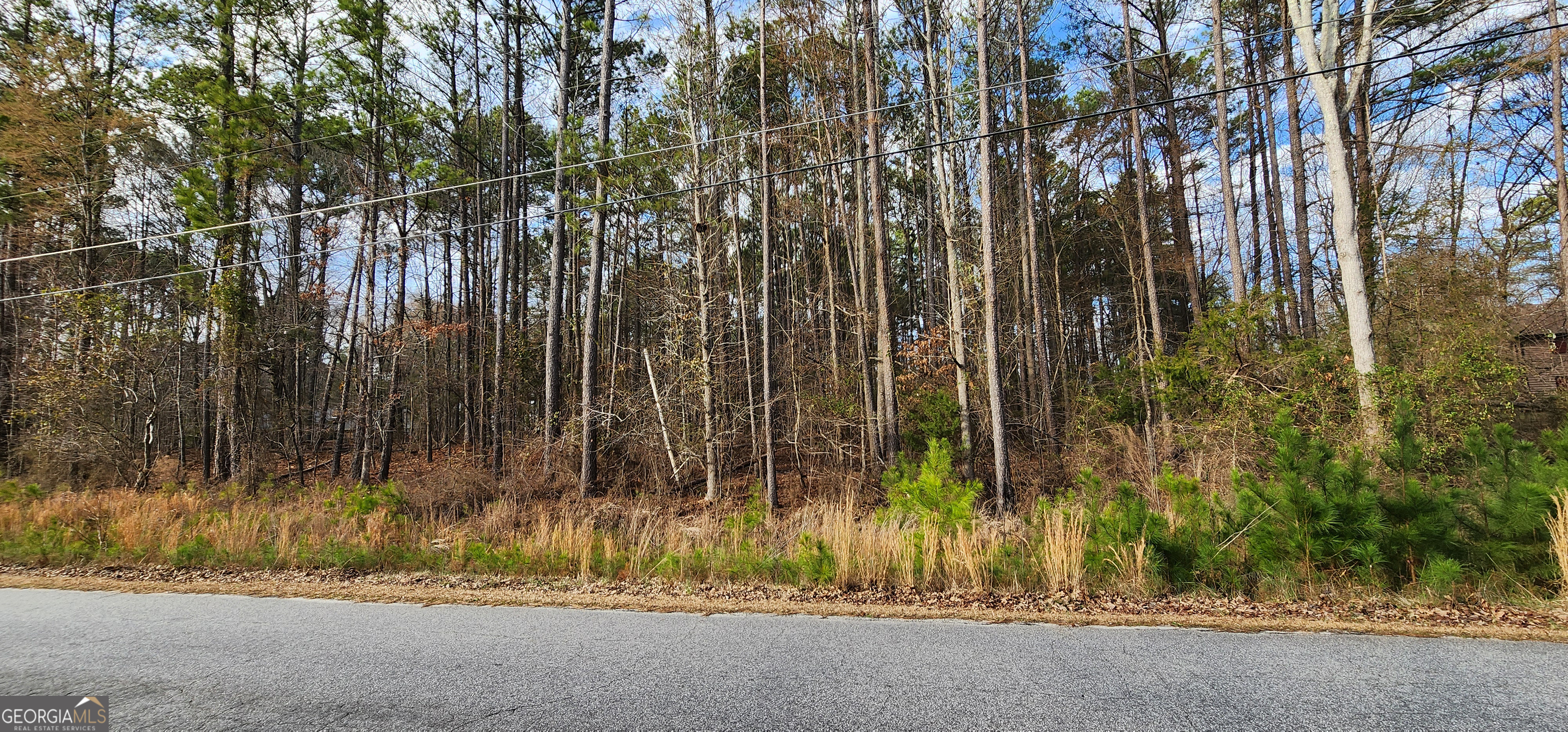 Come build your custom dream home in one of the most desirable and well-established neighborhoods of Rockdale County with No HOA. It is just over 2 acres and close to Arabia Mountain National Heritage Area, Panola Mountain State Park lake. This lot will not last long.