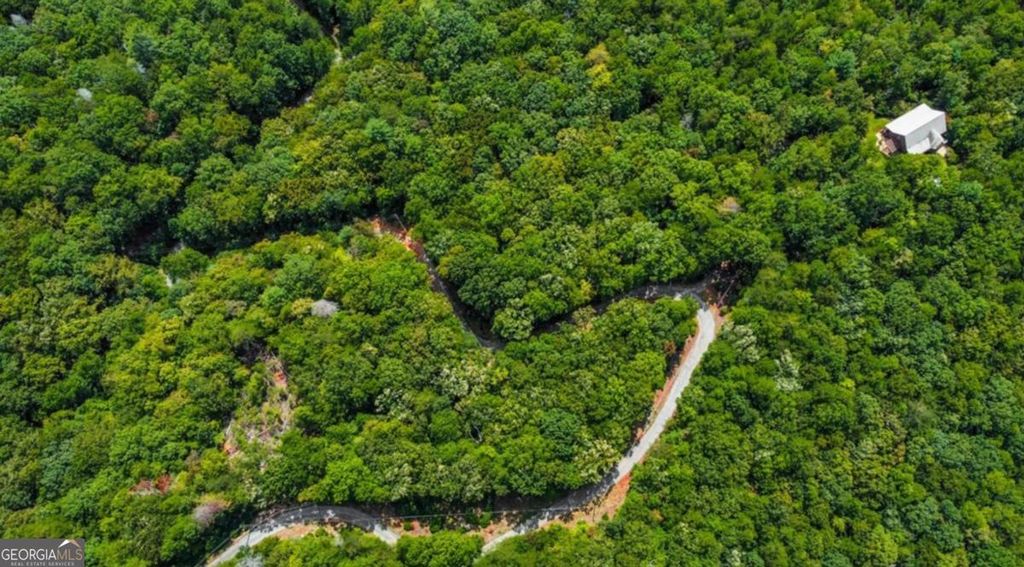 Photo of 469 Rockwater Road, Ellijay, GA 30536 (MLS # 10688932)