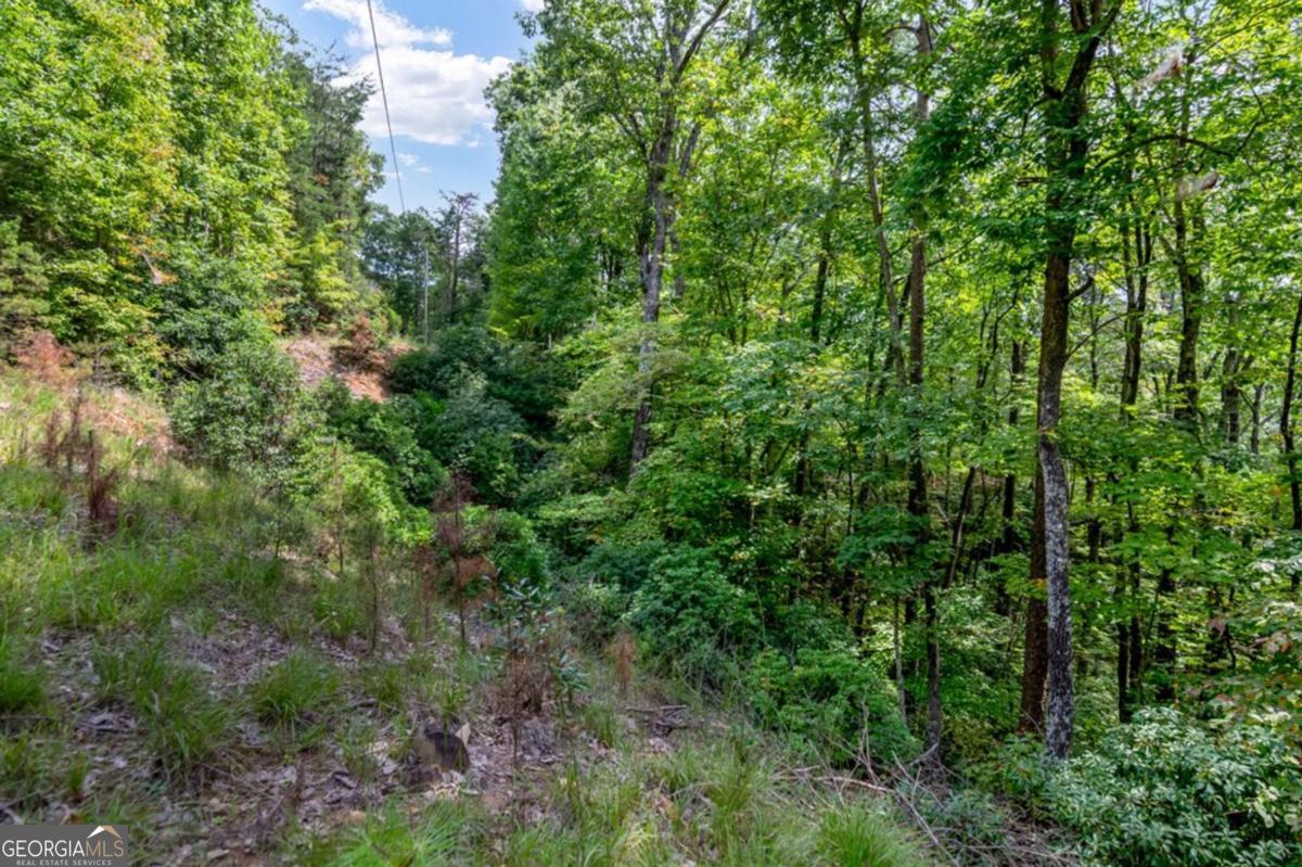 Photo 1 of 16 — 4.69 AC Rockwater RD, Ellijay, GA 30536