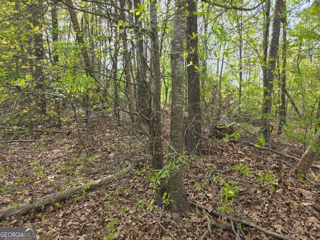 Photo of 77 Lake Club Circle, Lavonia, GA 30553 (MLS # 10725530)