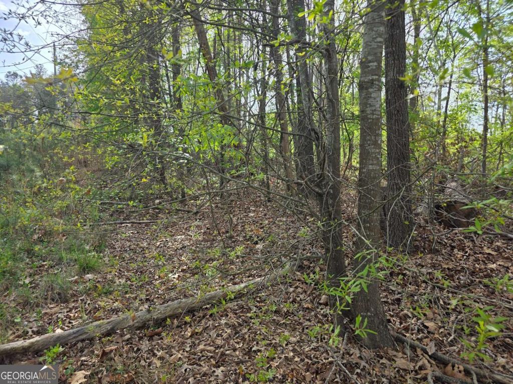 Photo of 77 Lake Club Circle, Lavonia, GA 30553 (MLS # 10725530)