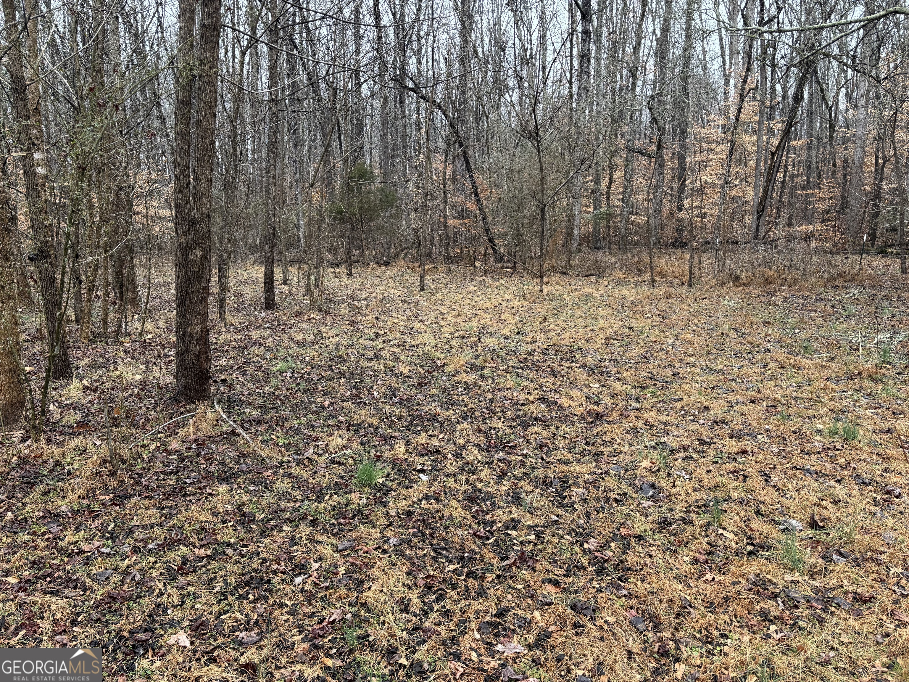 0 Lebanon Church Rd