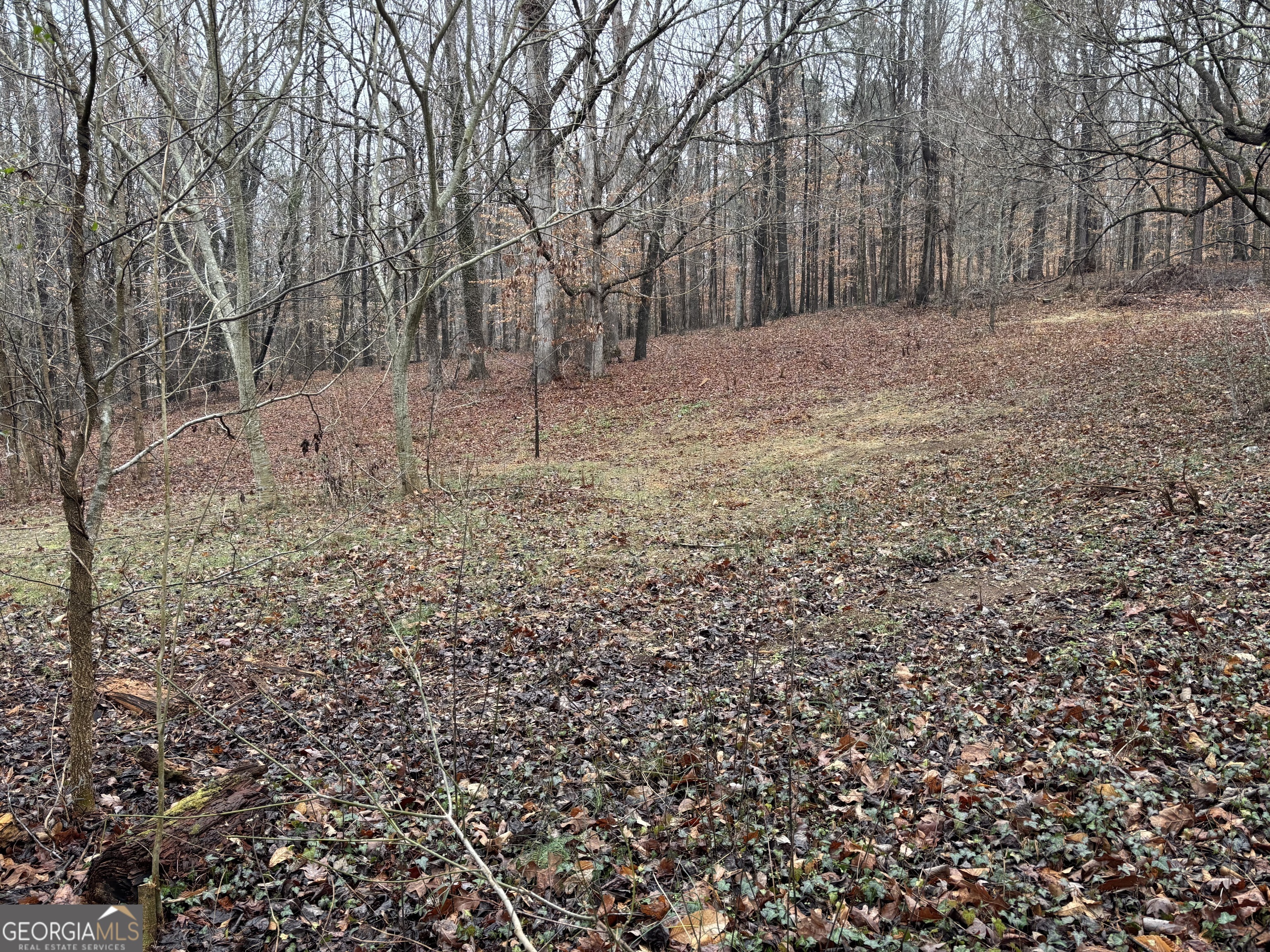 Beautiful wooded 4.3 acre lot in the heart of Jackson County. 20 minutes from Athens and Winder 10 minutes from Jefferson. Minutes from HWY 129. This property can be accessed from Lebanon Church Rd or Lost Trail Road. Property has a red gate as soon as you pass over the bridge coming down Lebanon from Jefferson, the gate is on your left side before box number 481. A large creek runs entire length of property, and it is listed as a flood zone, and will require flood insurance. Come make this beautiful property your future home site. Perk Test will be provided before close.