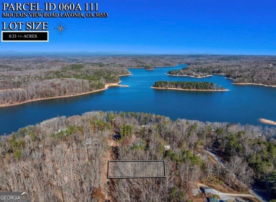 MOUNTAIN VIEW RD, LAVONIA, GA 30553 - Image f73231bf192c42bace39217154dd7de6/75684167