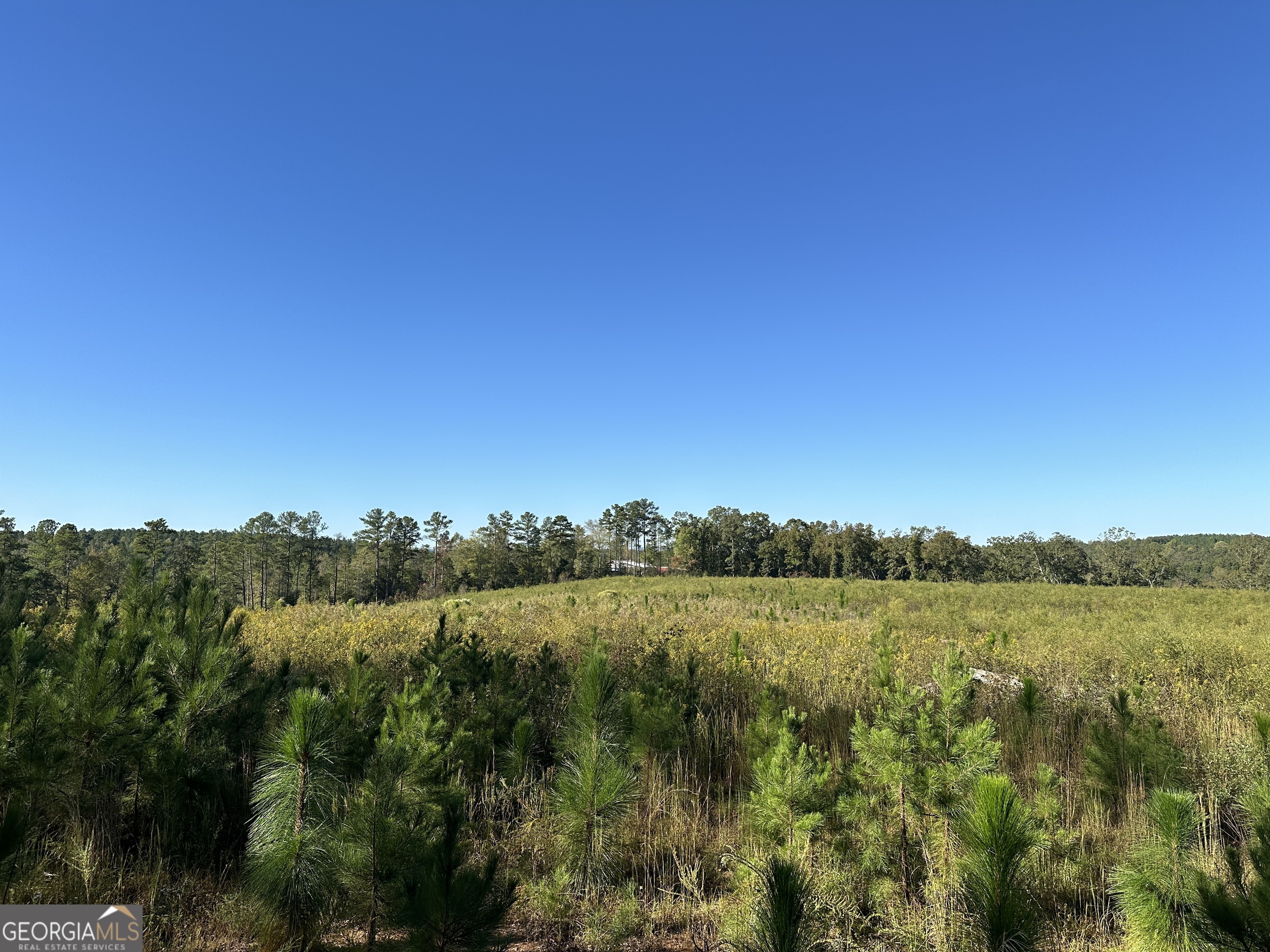 Beautiful 68+- acre tract with mountain views teeming with wildlife. A creek runs along the west side of the property and is surrounded by older growth hardwoods, making it a haven for the hunter. There are newly planted longleaf pines throughout the property that benefit wildlife. Several good homesites were noted at the top of a ridge with long-range views as well as around the creek and the old rock barbecue pit. Also on the creek bank stands a spring house built of stone. On the hillside above the creek stands a chimney, a remnant of an old homestead. I understand the family that lived in this home used the creek below for their water source. Most of the acres are planted in longleaf pines, with the acreage around the creek mostly old-growth hardwood trees. The dirt road throughout the property is accessed through a locked gate. The neighboring property owner allows us to use their driveway to access the acreage, with the understanding that a new owner of the 68 acres plans to install a drive at a later date. Utilities are available at or near the property and Spectrum recently installed internet along Prior Station Road. Modern amenities make this land even more attractive and the potential endless. Enjoy the nearby charm of Rome, GA with its rich history and vibrant culture, or explore the small-town atmosphere of Cave Spring, known for its natural wonders, including the famous cave and spring. Cedartown is only minutes away and offers local events and access to outdoor recreation and historical sites along with numerous dining opportunities. Cedartown also offers a Home Depot, Walmart and Chick-fil-a. Many possibilities make this property a fantastic opportunity. Do Not Enter the property without an appointment.