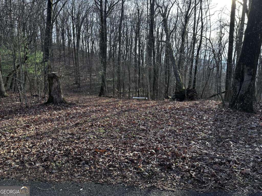 Photo of 32 Andes Ridge, Jasper, GA 30143 (MLS # 10786518)