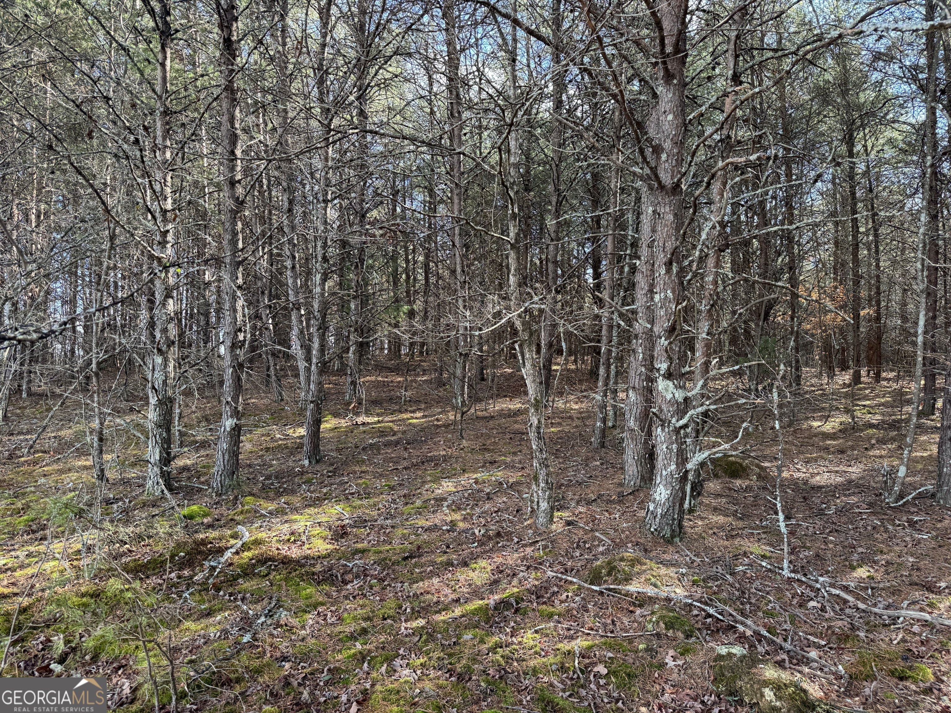 0 Appalachian Parkway