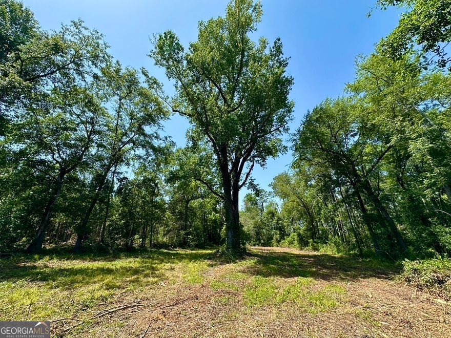 This property is located in desirable Southwest Laurens County, and is the ideal foundation for an exceptional recreational and hunting retreat. While only 60+/- acres, this rv friendly property has endless potential for a hunting camp, long term land and timber investment, or simply a quiet place to enjoy the great outdoors riding atv trails, and camping while making memories with friends and family.     Key features of this property include the 2023 planted pine timber that will serve as bedding and cover for wildlife now, while providing income potential later down the road. Another property highlight is the seasonal creek system that runs the length of the property, splitting the road front from the rear of the property, this 20+/- acres of bottomland habitat provides further cover and an additional layer of diversity for wildlife habitat. To further enhance the hunting and recreational aspects of the property, the current owner has cut over 3 miles of internal roads and trails. This is essential to easily navigate between future food plots and fields for all types of native game including turkeys, small game, and upland bird species.     WILL SUBDIVIDE. Survey Required. Showing by appointment only.