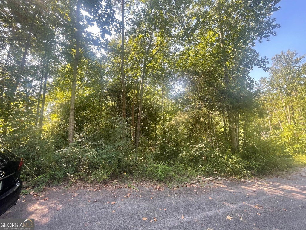 Photo of 161 Apache Trail, Martin, GA 30557 (MLS # 10851514)