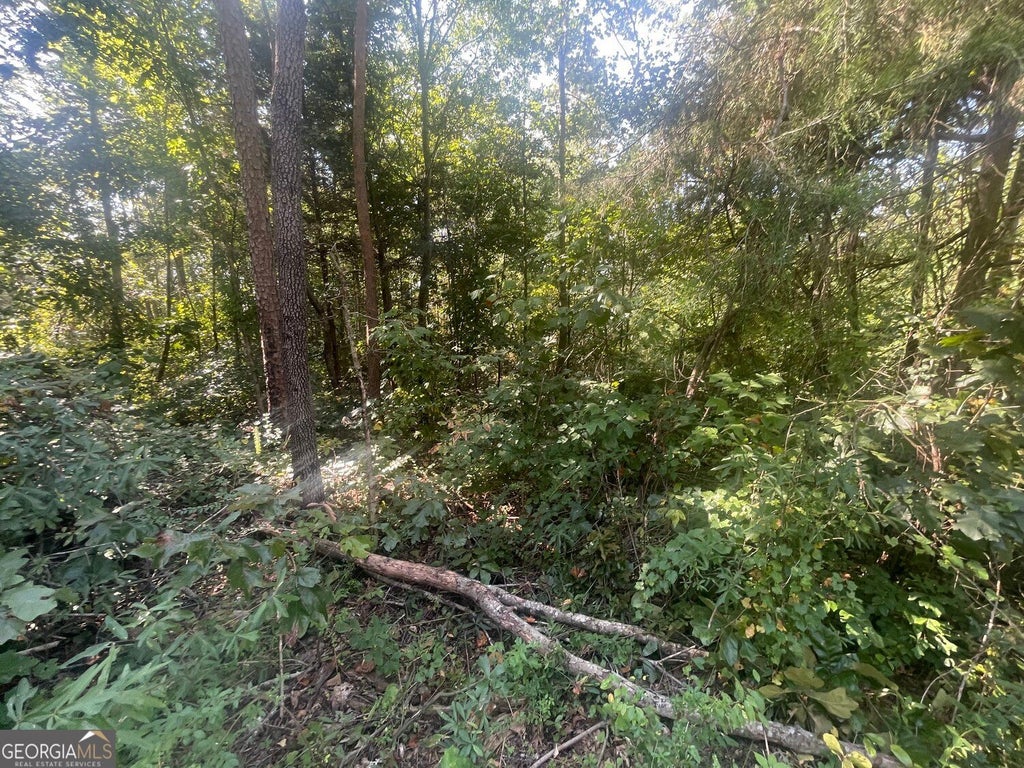 Photo of 161 Apache Trail, Martin, GA 30557 (MLS # 10851514)