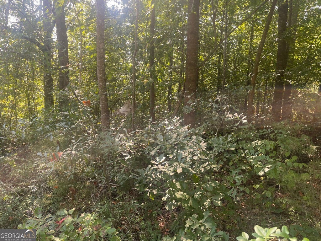Photo of 161 Apache Trail, Martin, GA 30557 (MLS # 10851514)