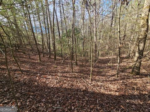 LOT 77 Roaring Forks LN 77 Ellijay GA 30540
