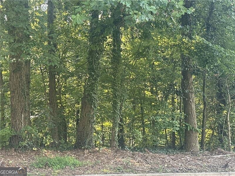 Photo of 0 Ale Circle, East Point, GA 30344 (MLS # 10828391)