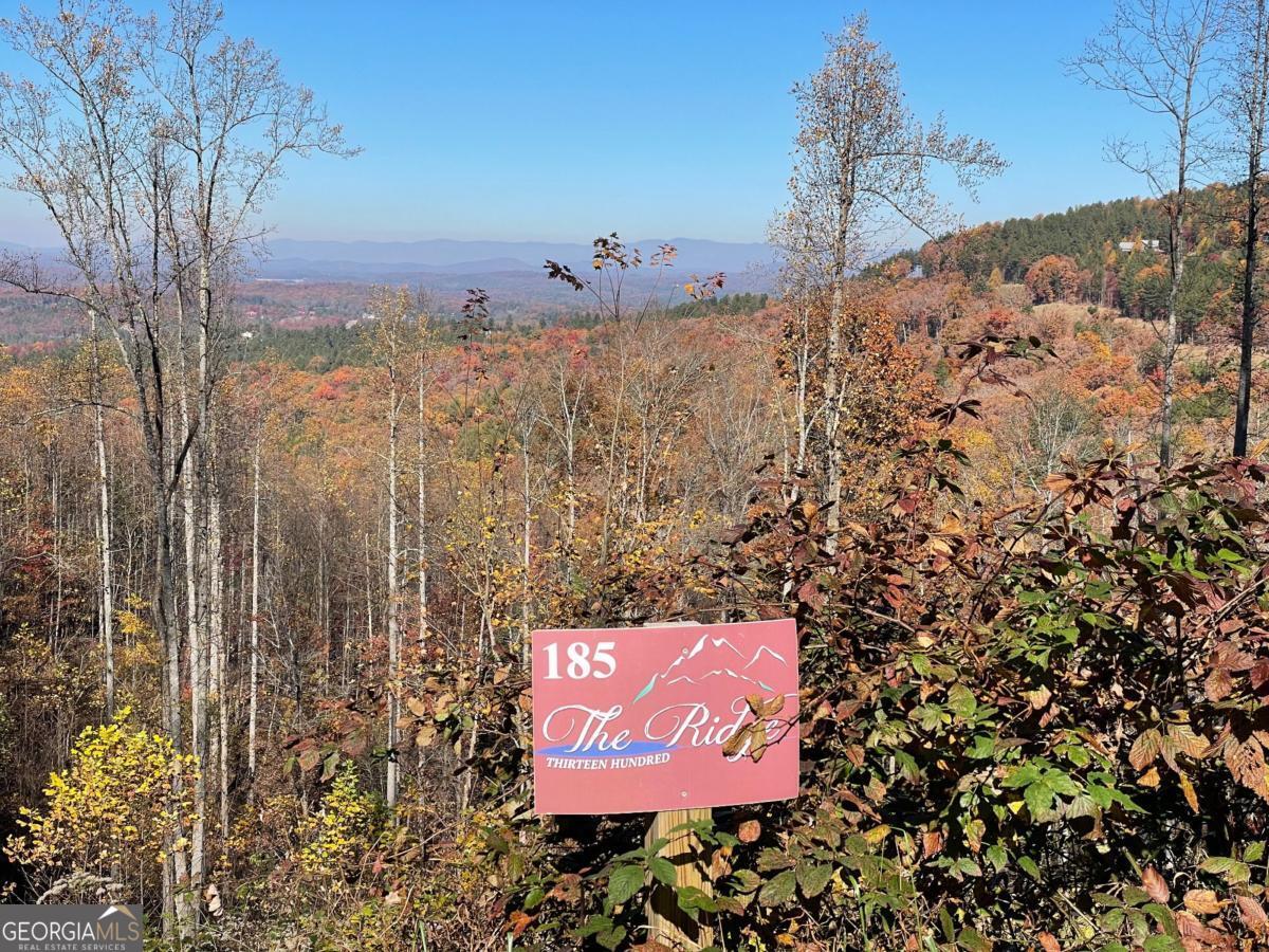SPECTACULAR YEAR ROUND MOUNTAIN VIEWS from this 1.84 acre lot located in the premier THIRTEEN HUNDRED community on Lake Nottely in the North Georgia Mountains. Awesome HIGH ELEVATION lot! Unobstructed year round long range view! Soil perked and ready to build. Can easily walk to the pool! Includes gated entry, saltwater pool, clubhouse lodge, lake access with boat ramp & community covered boat slips, kayak racks, lakeside fire pit, lakeside park, equestrian area for horses, hiking trails & more! Only 10 minutes back to Blairsville & all paved roads. Easy access! Great location in Blairsville which offers many choices of restaurants, golf courses, hiking trails and is home to the popular Appalachian Trail and Georgia's tallest mountain- Brasstown Bald.