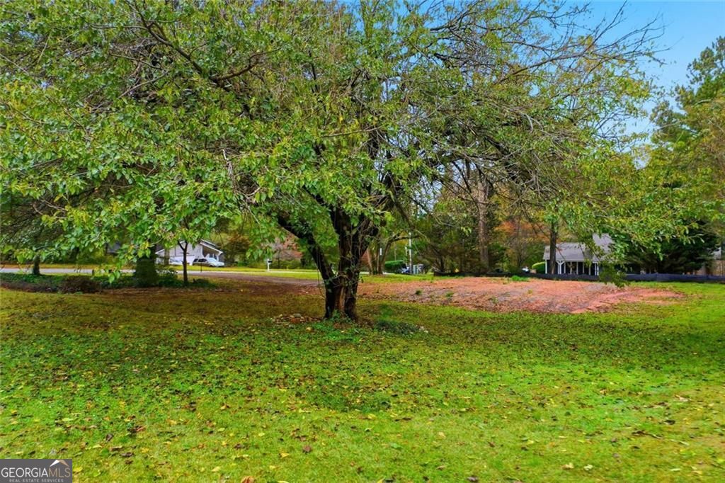 JAMERSON FOREST - Land