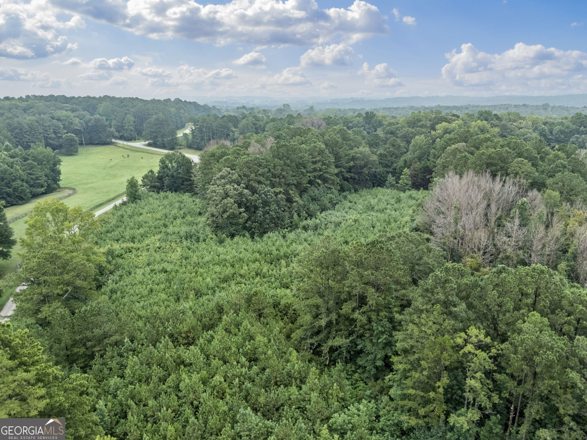 598 Beavers RD
