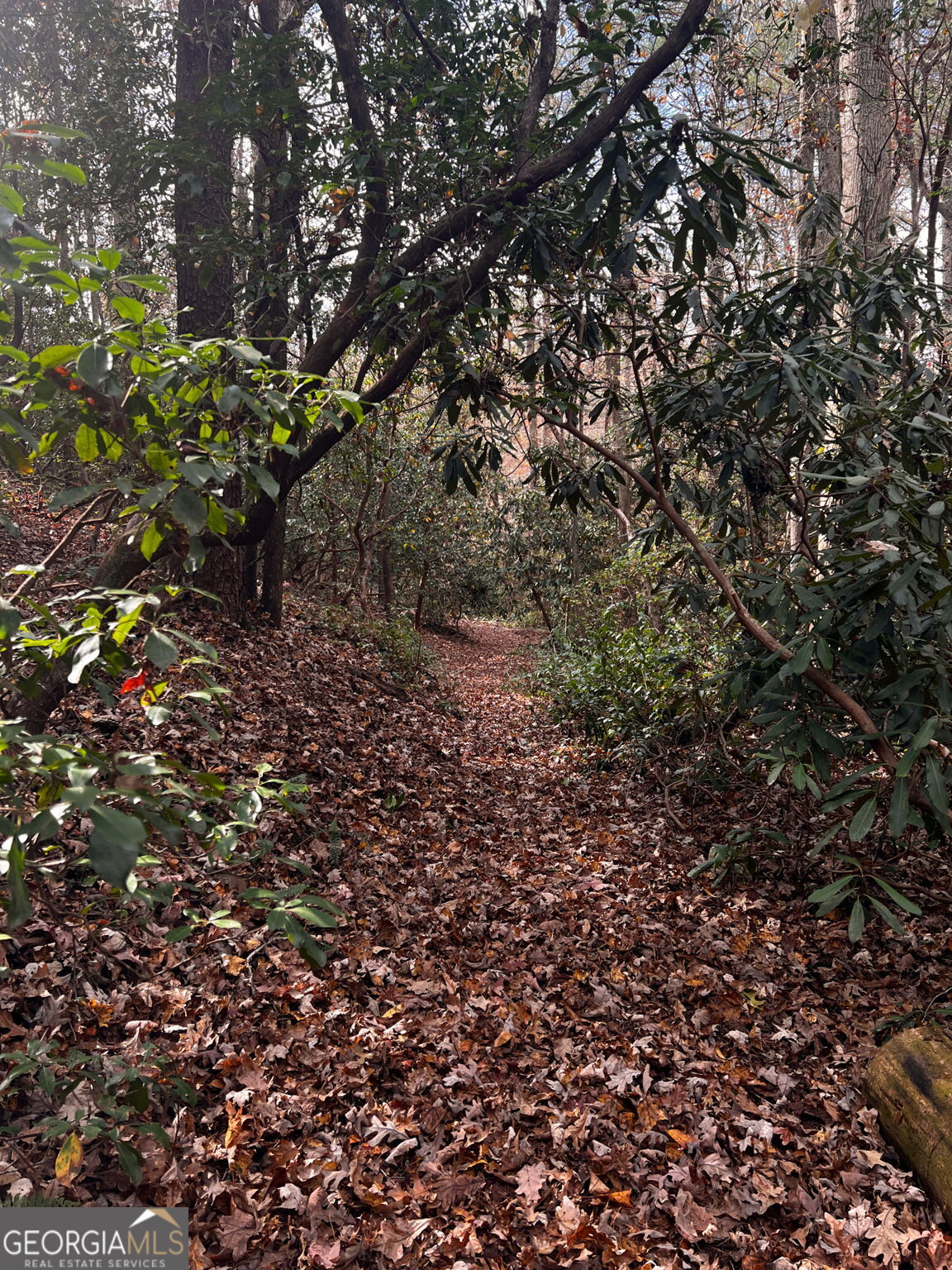 0 Soque Falls Circle Lot 35