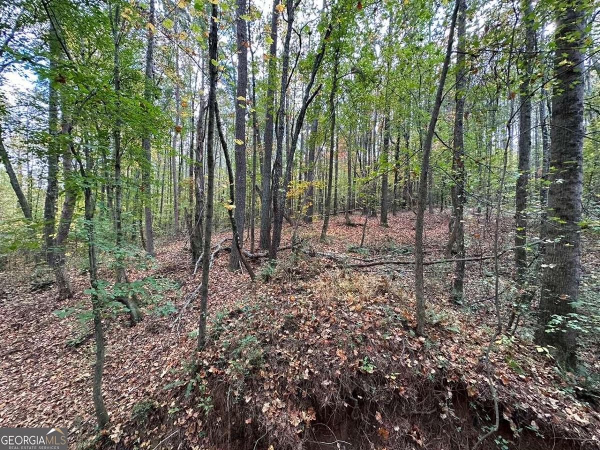 0 Villa Rica Highway/ Highway 61