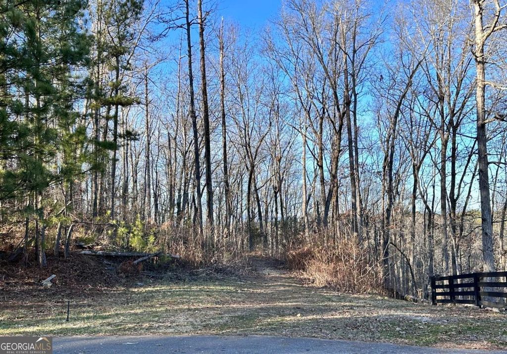 Photo of 8555 Woodland Brooke Trail, Cumming, GA 30028 (MLS # 10730072)