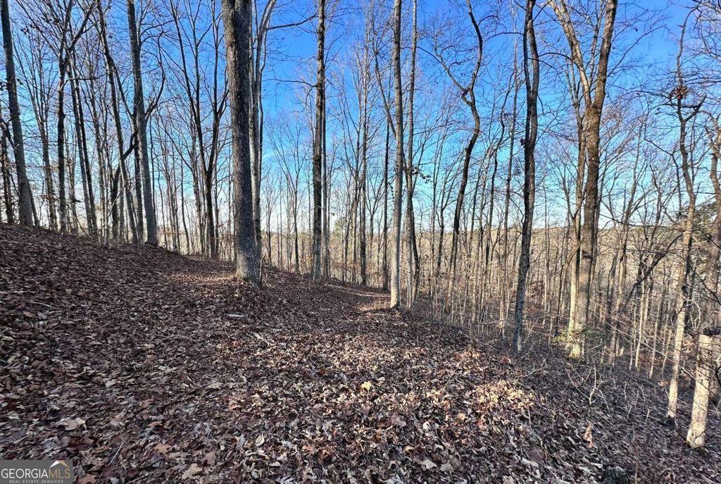 Photo of 8555 Woodland Brooke Trail, Cumming, GA 30028 (MLS # 10730072)