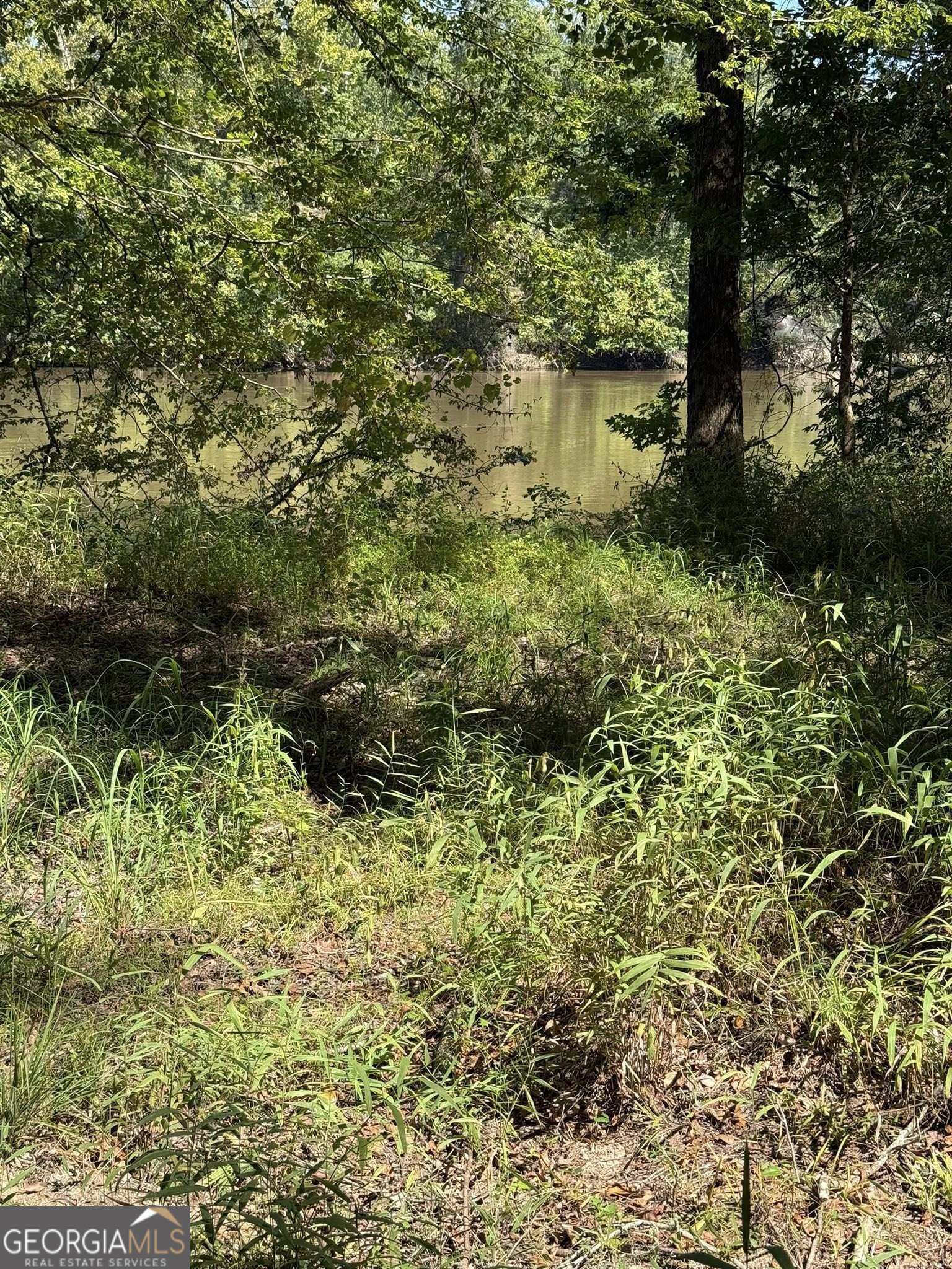 1.3 Acre Lot on the Mighty Savannah River. Beautiful view of the river on a buildable lot with gorgeous big timber. Good private road access with available power within 50 yards.