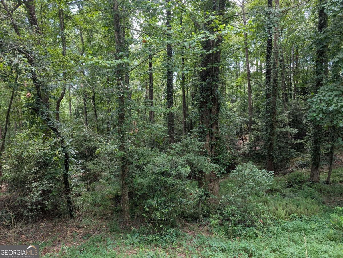 Wooded lot located in a beautiful community with a public golf course intermingled throughout. This one lays gently from the road and will have a great build site. Super easy access and only about 10 minutes from downtown Ellijay, Roo Mountain Vineyards, the park on the Ellijay River, and of course even closer to GOLF! Buckhorn Estates does not allow short term rentals, ensuring peace and solitude for those who live there. Low HOA fees and simple living!