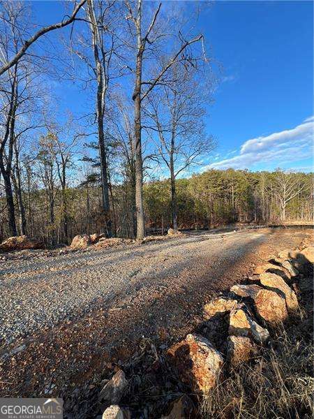 Rockmart, Georgia 30153, United States, ,Land,Active,27718