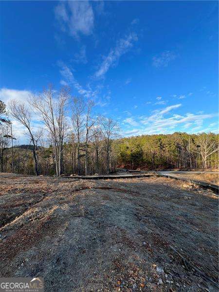 Rockmart, Georgia 30153, United States, ,Land,Active,27718