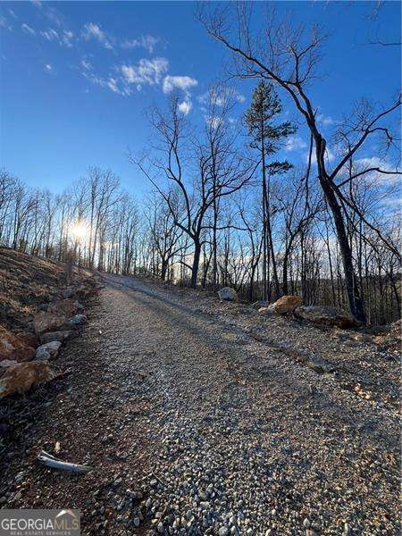 Rockmart, Georgia 30153, United States, ,Land,Active,27718