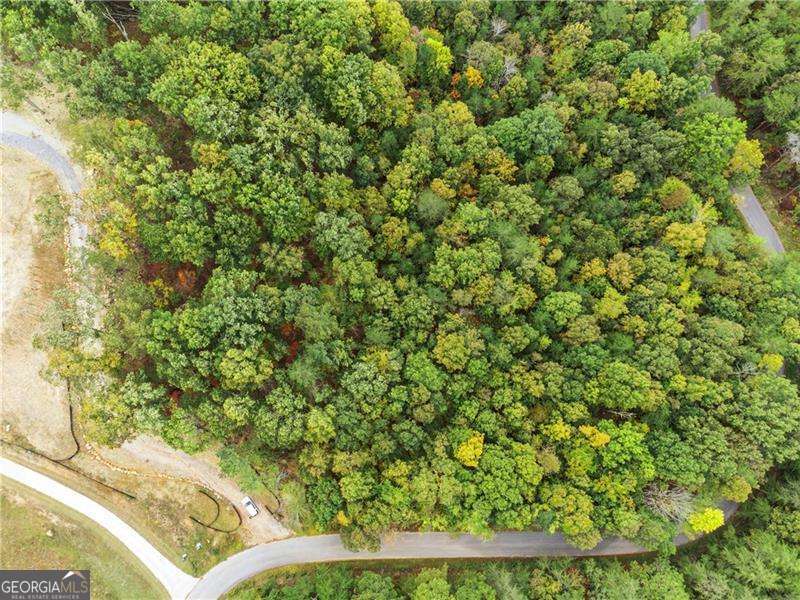 Rockmart, Georgia 30153, United States, ,Land,Active,27718