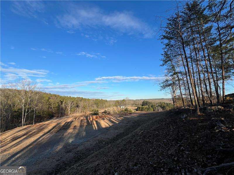 Rockmart, Georgia 30153, United States, ,Land,Active,27718