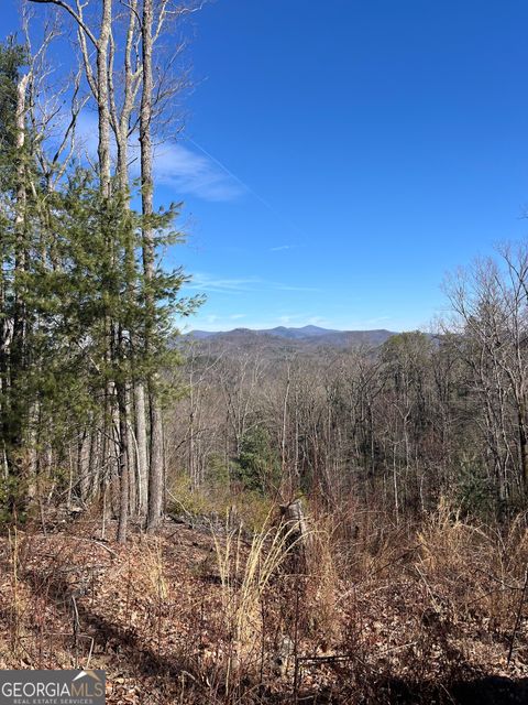 0 Eastman MTN RD Tiger GA 30576