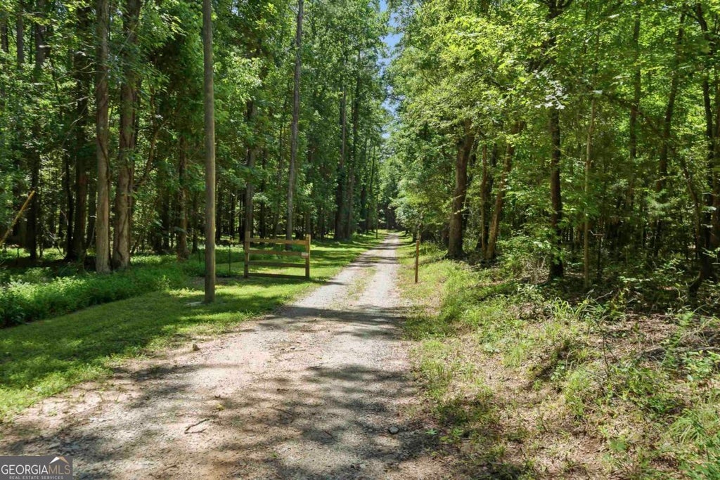 Photo of 4271 Veazey Road, Greensboro, GA 30642 (MLS # 10793425)