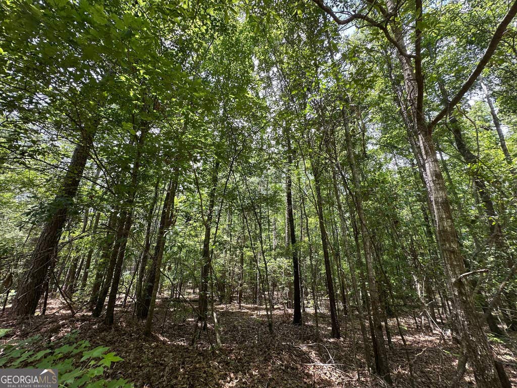 Photo of 982 Springfield Road, Sparta, GA 31087 (MLS # 10808496)