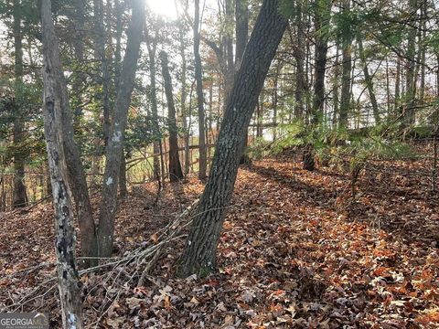 Photo of 71 Dryad Court, Ellijay, GA 30540 (MLS # 10645627)