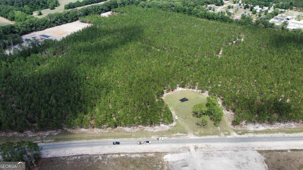 Photo of 5294 Owens Road, Blackshear, GA 31516 (MLS # 10765680)