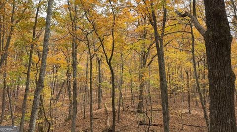 Photo of 0 Super Deluxe Road, Rockmart, GA 30153 (MLS # 10594088)