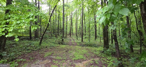Photo of 0 Brewsterfield Road, Cedartown, GA 30125 (MLS # 10762751)