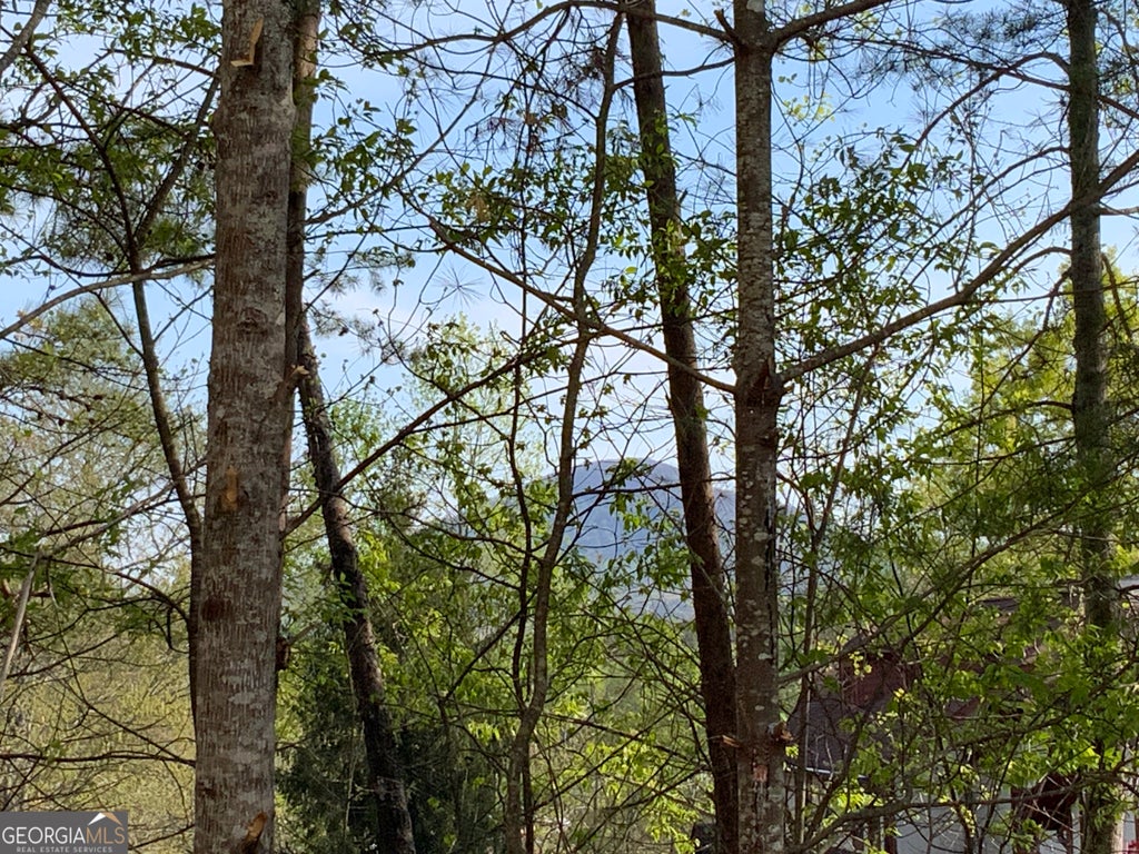 Photo of 39 Sportarten Strasse, Helen, GA 30545 (MLS # 10805947)