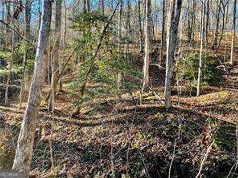 Photo of 50 Old Stamp Mill Road, Dahlonega, GA 30533 (MLS # 10669578)