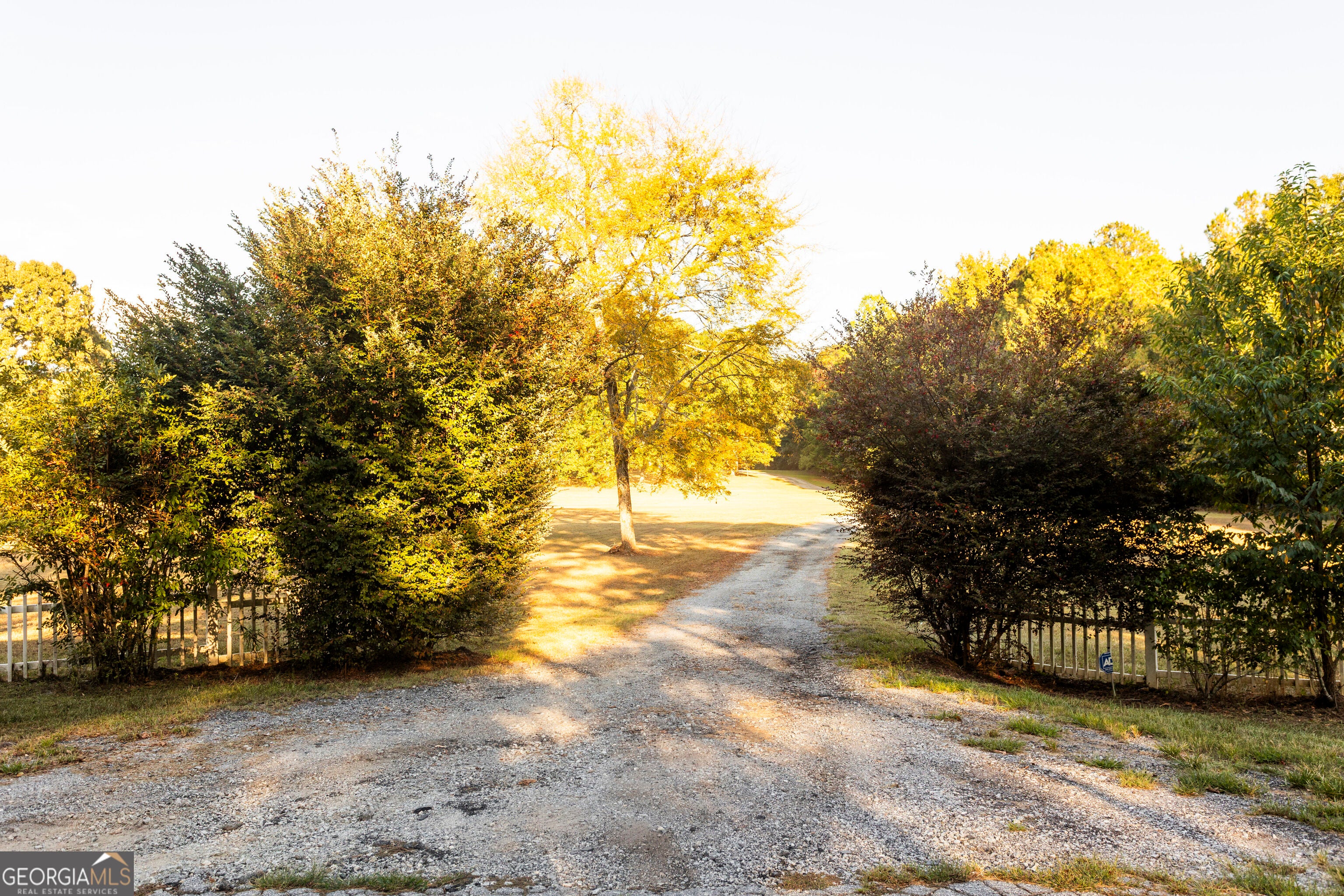 1650 Pierce Dairy Road