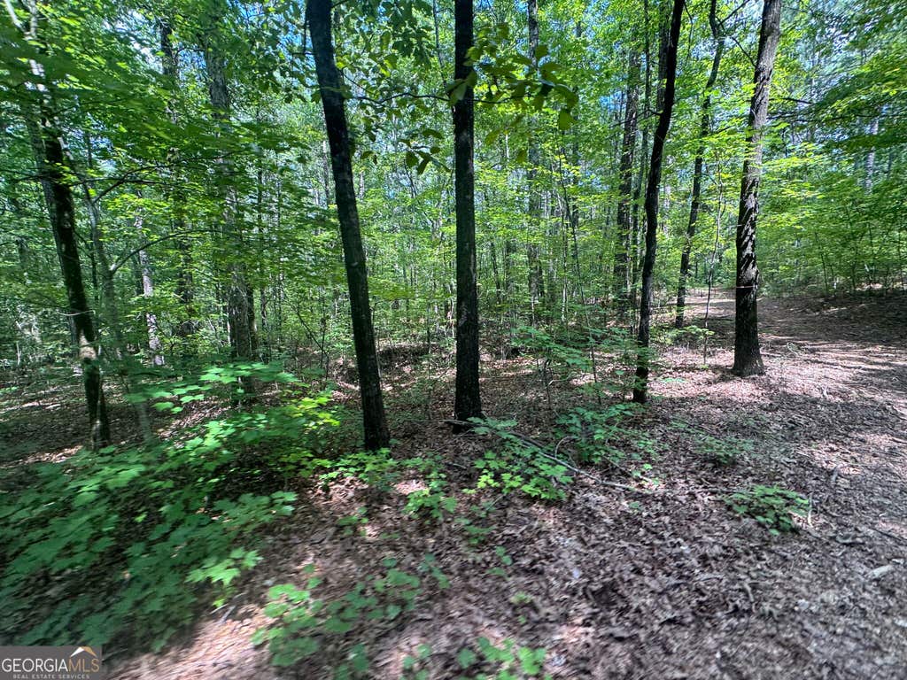 Photo of 2996 Stokes Store Road, Forsyth, GA 31029 (MLS # 10830905)