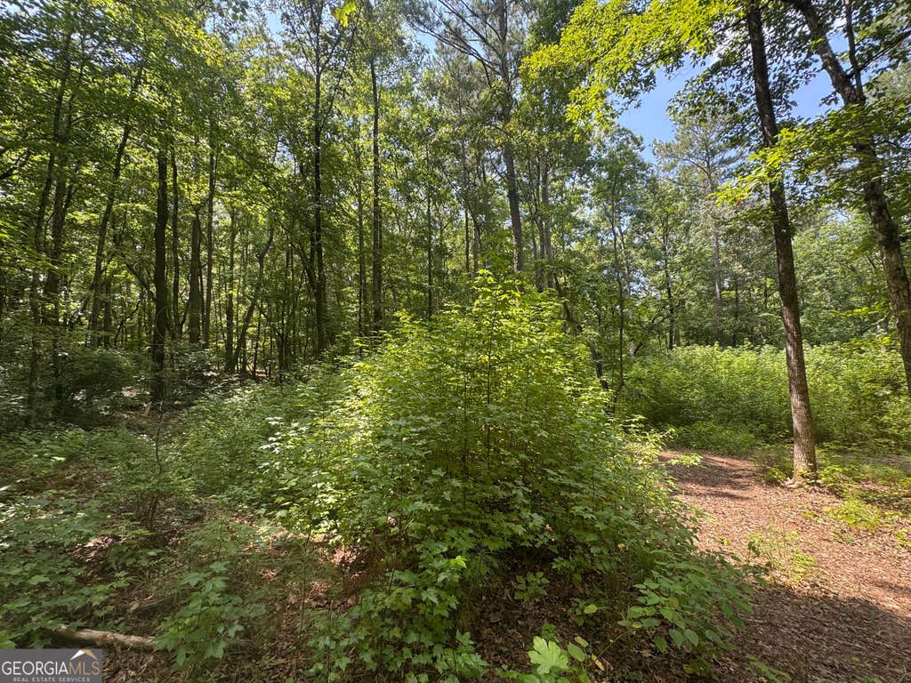 Photo of 2996 Stokes Store Road, Forsyth, GA 31029 (MLS # 10830905)