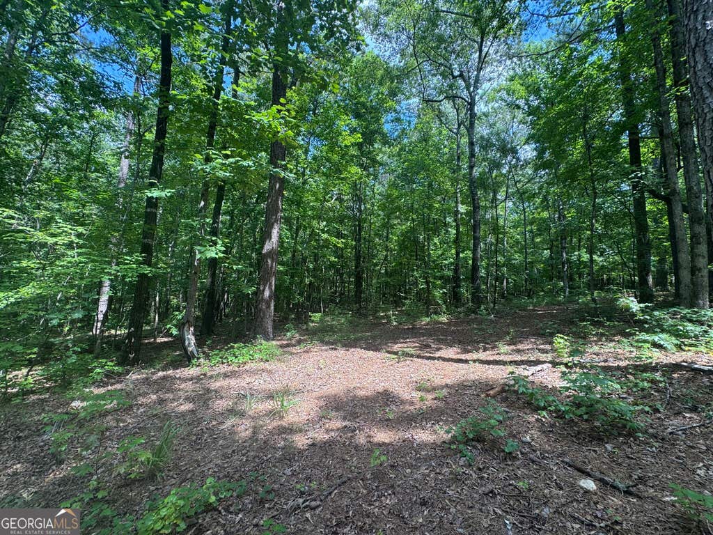 Photo of 2996 Stokes Store Road, Forsyth, GA 31029 (MLS # 10830905)