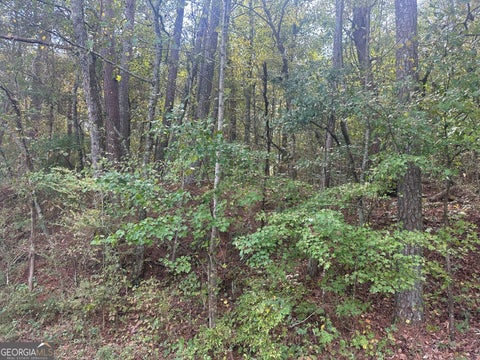 Photo for 00 Carver Mill RD