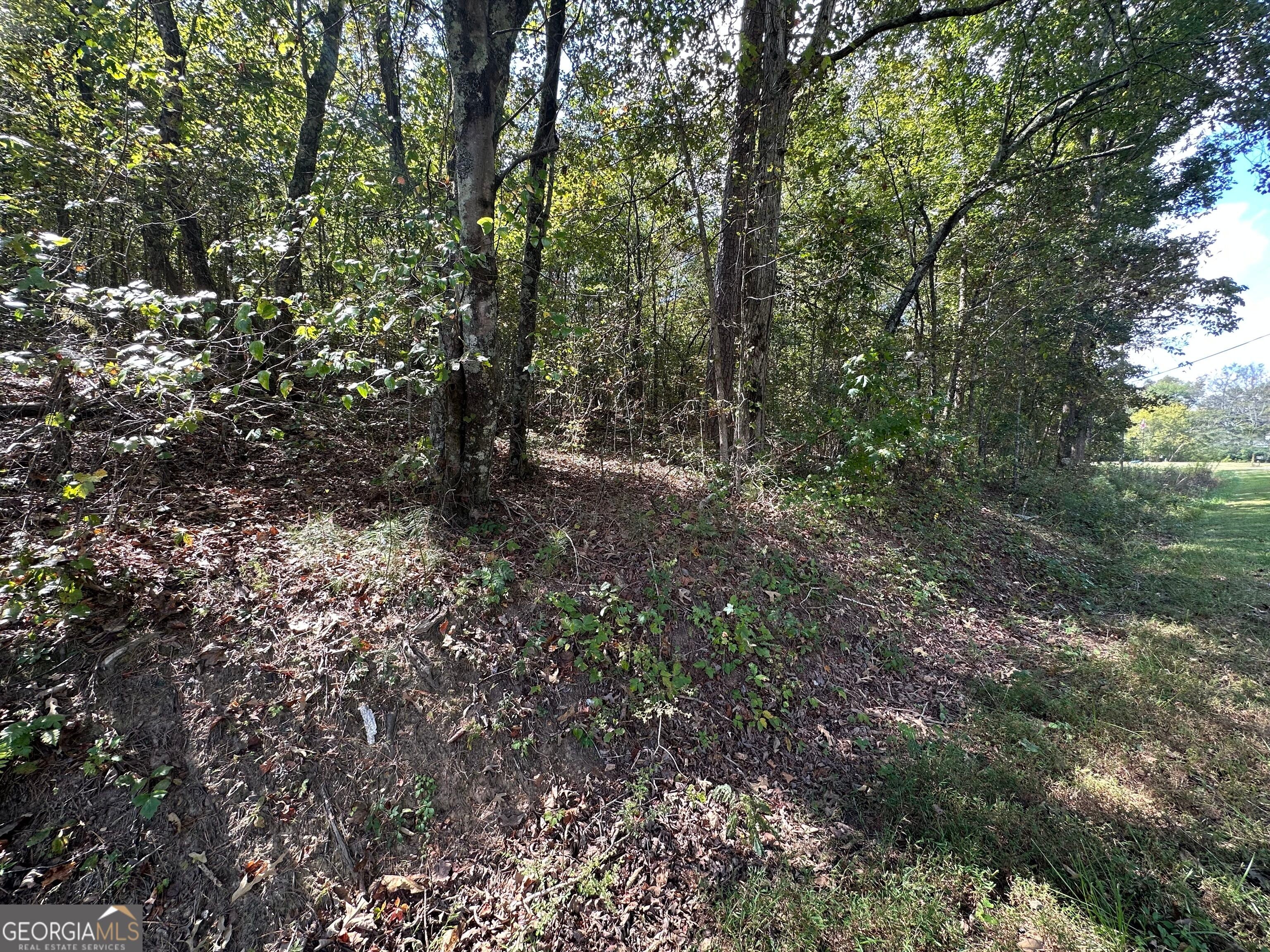 0 Carver Mill RD