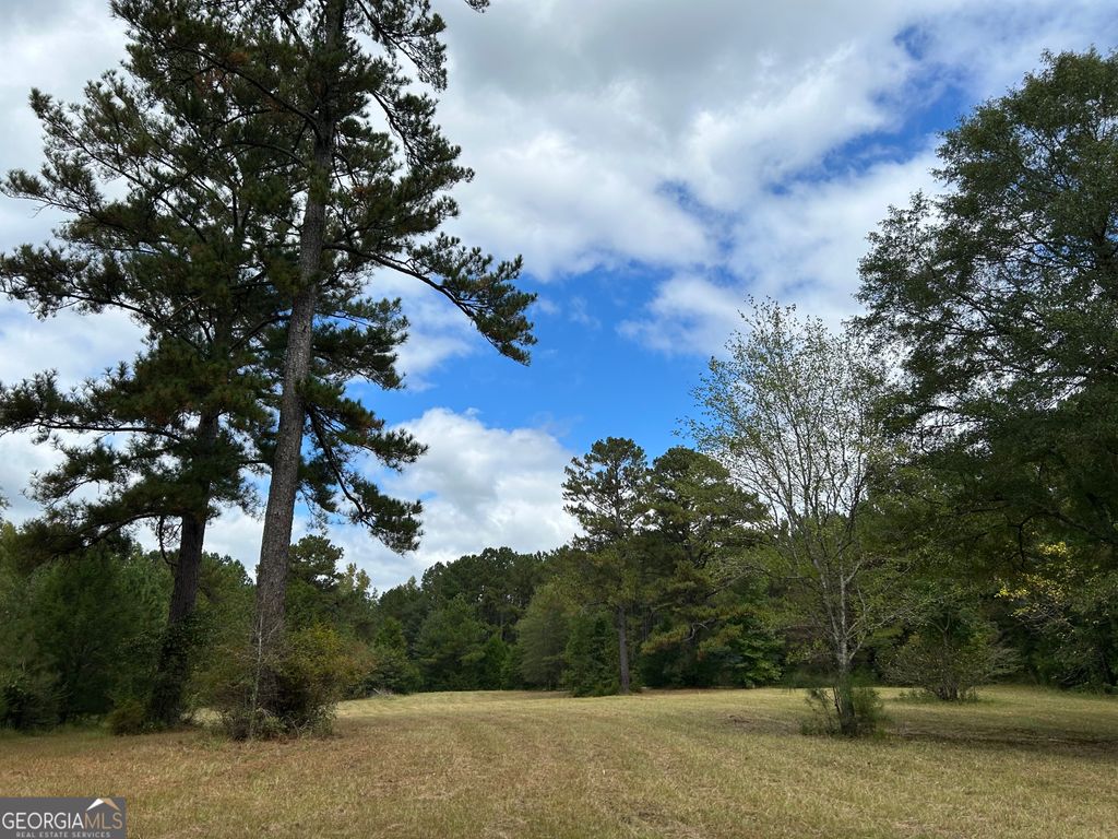 Photo of 16014 Pedenville/FlatShoals/Knott Roads, Concord, GA 30206 (MLS # 10660547)