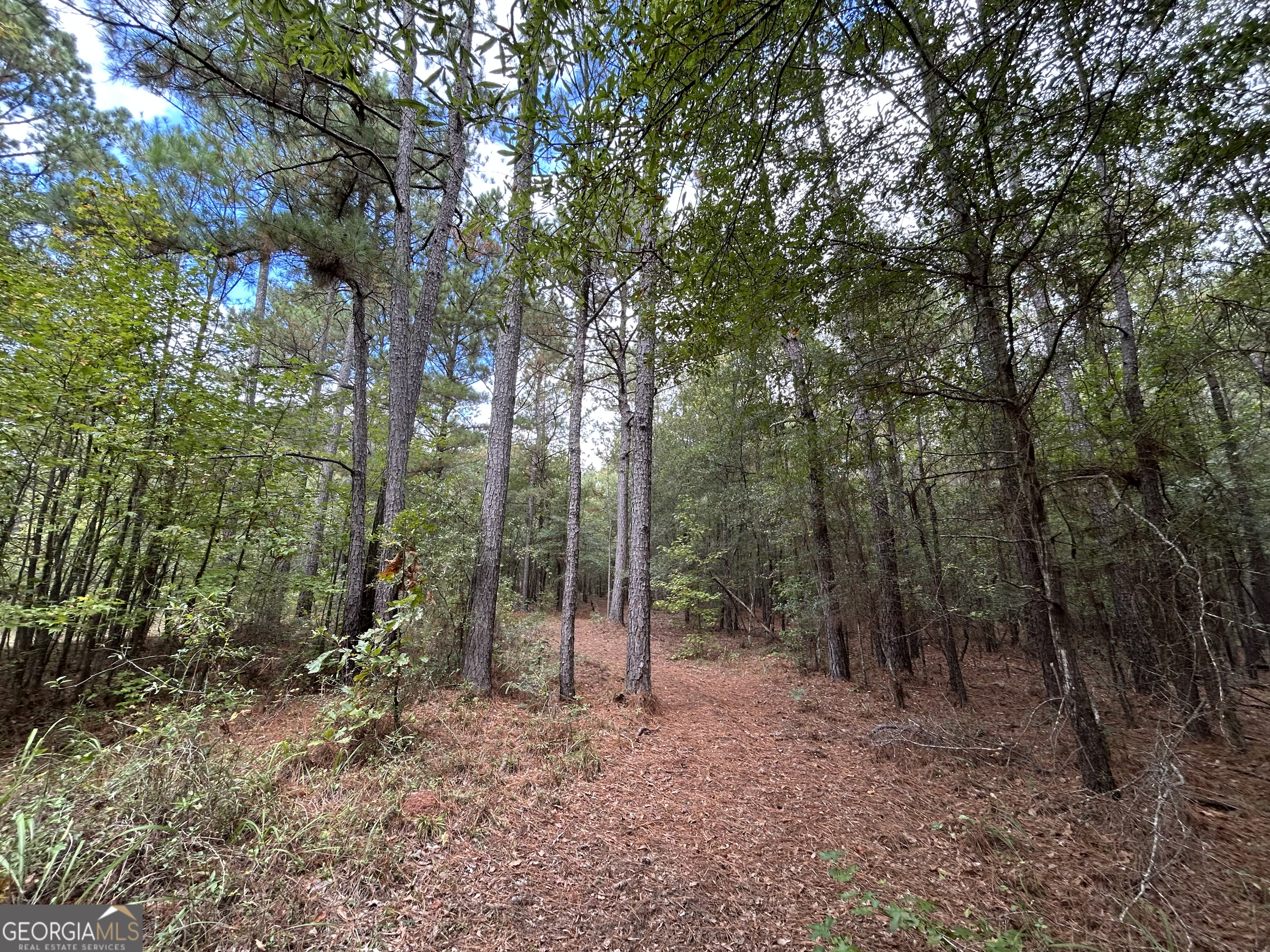 016 014 Pedenville/FlatShoals/Knott RDS