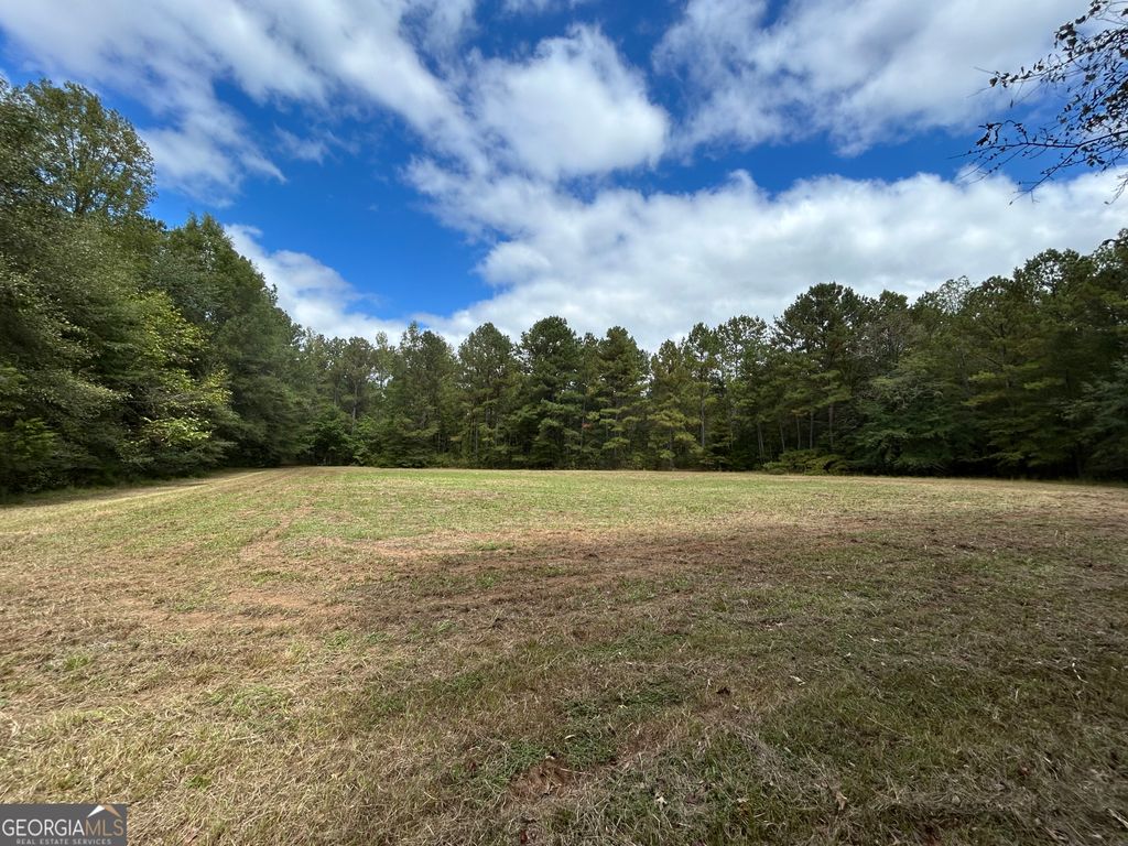 Photo of 16014 Pedenville/FlatShoals/Knott Roads, Concord, GA 30206 (MLS # 10660547)