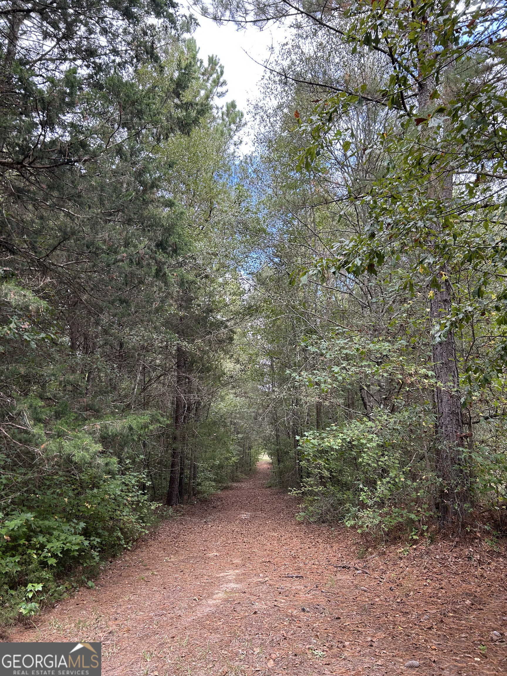 016 014 Pedenville/FlatShoals/Knott RDS